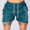 BEACH SHORTS CAPITAL