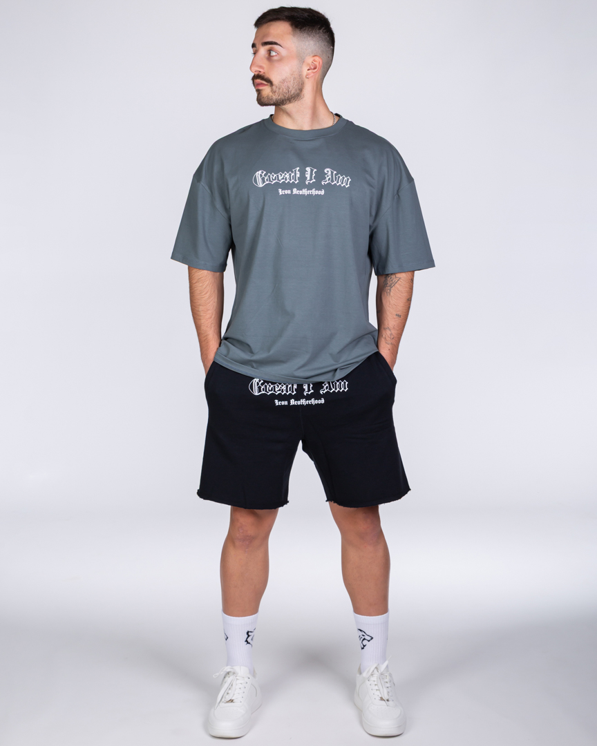 OVERSIZED T-SHIRT PITBULL GREY - Image 7