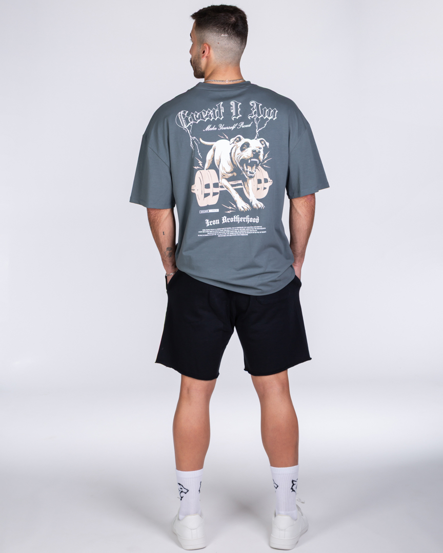 OVERSIZED T-SHIRT PITBULL GREY - Image 8